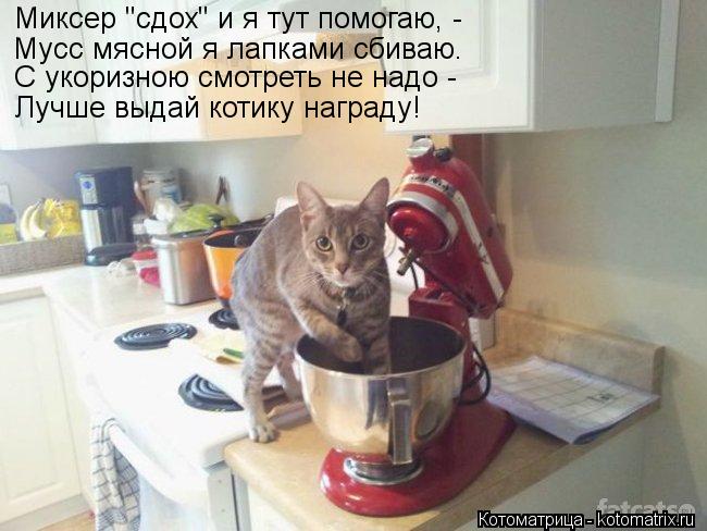 Миксер "сдох" и я тут помогаю, - Мусс мясной я лапками сбиваю. С укоризною смотреть не надо - Лучше в... Котоматрица: Миксер "сдох" и я тут помогаю, - Мусс мясной я лапками сбиваю. С укоризною смотреть не надо - Лучше выдай котику награду!