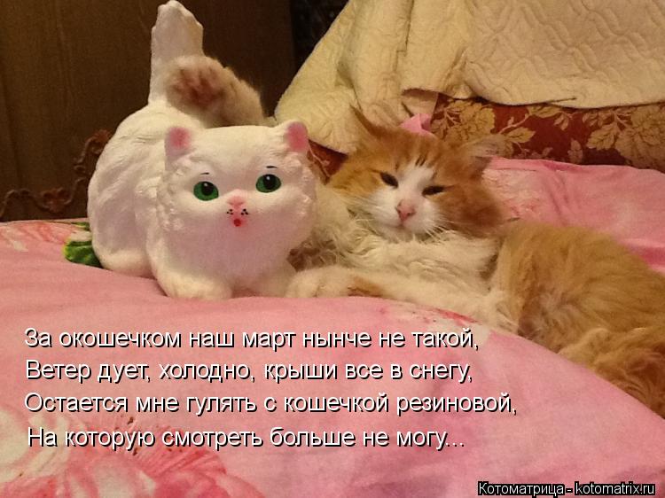 За окошечком наш март нынче не такой, Ветер дует, холодно, крыши все в снегу, Остается мне гулять с к... Котоматрица: За окошечком наш март нынче не такой, Ветер дует, холодно, крыши все в снегу, Остается мне гулять с кошечкой резиновой, На которую смотреть б