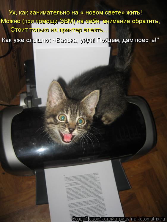 Котоматрица: Можно (при помощи ЭВМ) на себя  внимание обратить, Ух, как занимательно на « новом свете» жить! Стоит только на принтер влезть… Как уже слышн