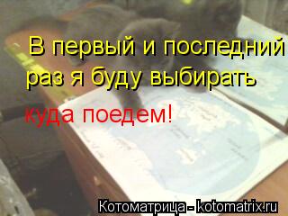 В первый и последний раз я буду искать куда поедем! раз я буду выбирать куда поедем!... Котоматрица: В первый и последний раз я буду искать куда поедем! раз я буду выбирать куда поедем!