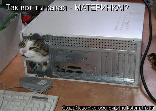 Так вот ты какая - МАТЕРИНКА!?... Котоматрица: Так вот ты какая - МАТЕРИНКА!?