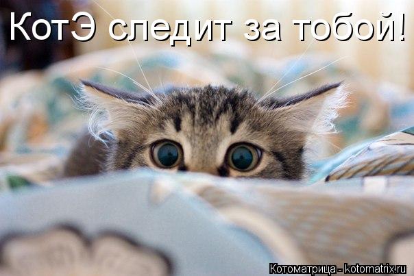 КотЭ следит за тобой!... Котоматрица: КотЭ следит за тобой!
