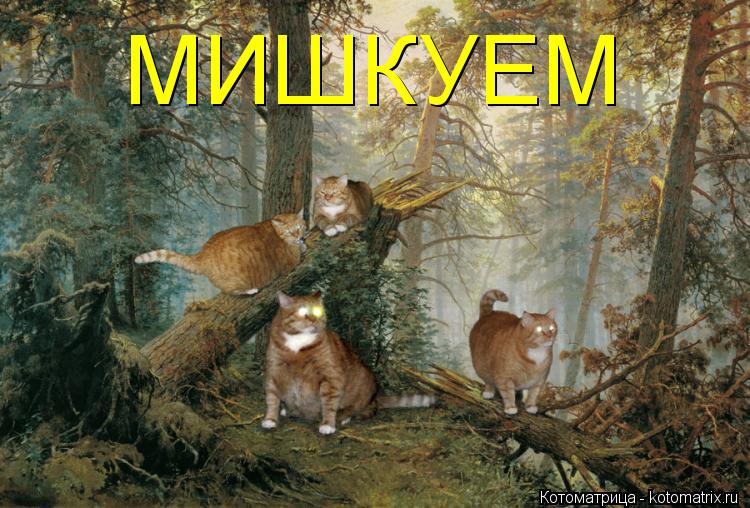 МИШКУЕМ... Котоматрица: МИШКУЕМ