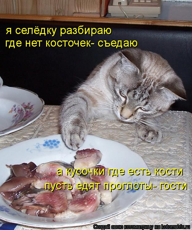 Котоматрица: я селёдку разбираю где нет косточек- съедаю а кусочки где есть кости пусть едят проглоты- гости