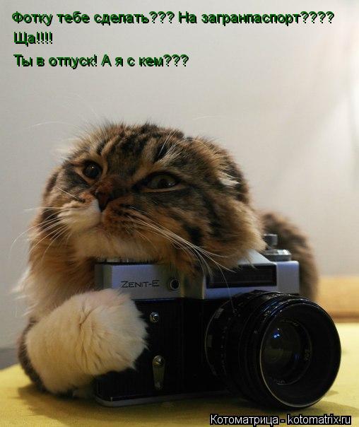 Фотку тебе сделать??? На загранпаспорт???? Ща!!!! Ты в отпуск! А я с кем???... Котоматрица: Фотку тебе сделать??? На загранпаспорт???? Ща!!!! Ты в отпуск! А я с кем???