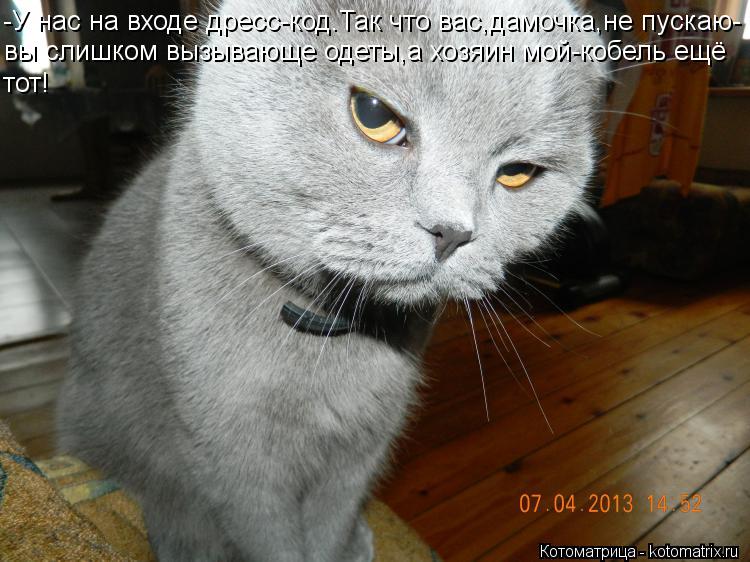 -У нас на входе дресс-код.Так что вас,дамочка,не пускаю- вы слишком вызывающе одеты,а хозяин мой-кобе... Котоматрица: -У нас на входе дресс-код.Так что вас,дамочка,не пускаю- вы слишком вызывающе одеты,а хозяин мой-кобель ещё тот!