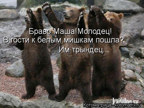 В гости к белым мишкам пошла? Им трындец... Браво Маша!Молодец!... Котоматрица: В гости к белым мишкам пошла? Им трындец... Браво Маша!Молодец!