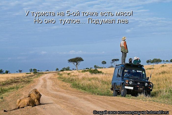 У туриста на 5-ой точке есть мясо! Но оно тухлое... Подумал лев... Котоматрица: У туриста на 5-ой точке есть мясо! Но оно тухлое... Подумал лев