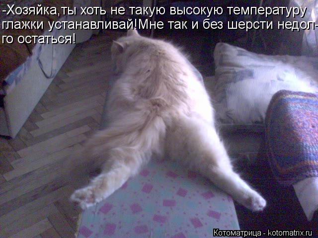 -Хозяйка,ты хоть не такую высокую температуру глажки устанавливай!Мне так и без шерсти недол- го оста... Котоматрица: -Хозяйка,ты хоть не такую высокую температуру глажки устанавливай!Мне так и без шерсти недол- го остаться!