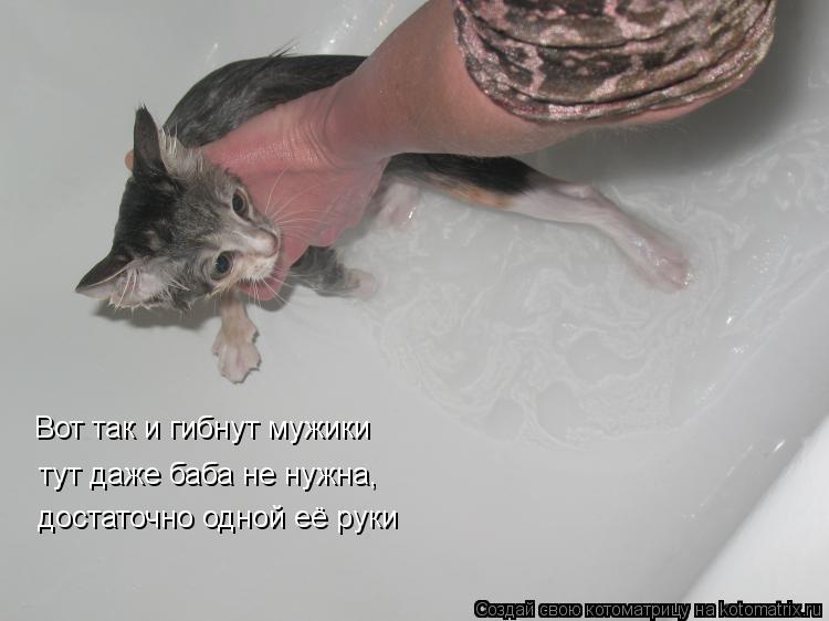 Вот так и гибнут мужики тут даже баба не нужна, достаточно одной её руки... Котоматрица: Вот так и гибнут мужики тут даже баба не нужна, достаточно одной её руки