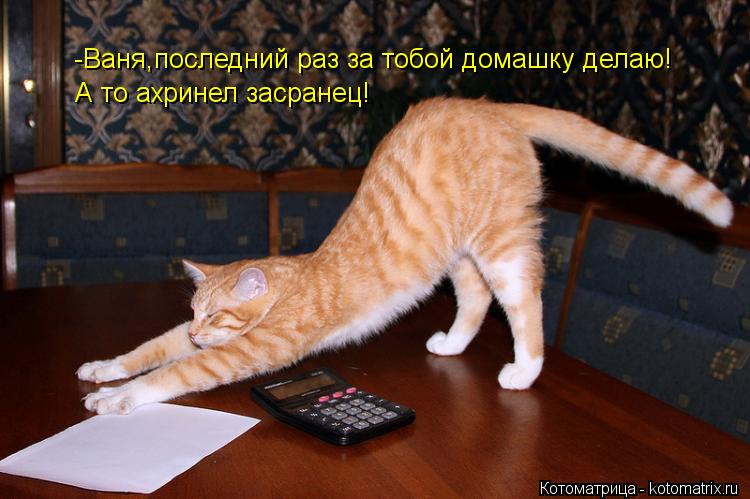 -Ваня,последний раз за тобой домашку делаю! А то ахринел засранец!... Котоматрица: -Ваня,последний раз за тобой домашку делаю! А то ахринел засранец!