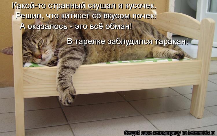 Какой-то странный скушал я кусочек. Решил, что китикет со вкусом почек! А оказалось - это всё обман! ... Котоматрица: Какой-то странный скушал я кусочек. Решил, что китикет со вкусом почек! А оказалось - это всё обман! А оказалось - это всё обман! В тарелке забл