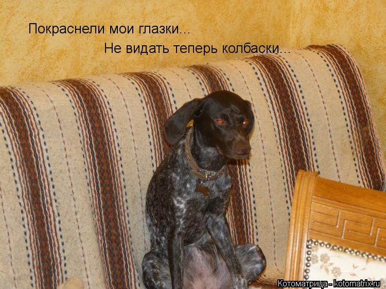 Покраснели мои глазки... Не видать теперь колбаски...... Котоматрица: Покраснели мои глазки... Не видать теперь колбаски...