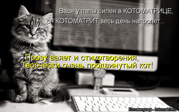 он КОТОМАТРИТ весь день напролет... Вася у папы силен в КОТОМАТРИЦЕ, Прозу ваяет и стихотворения, Т... Котоматрица: он КОТОМАТРИТ весь день напролет... Вася у папы силен в КОТОМАТРИЦЕ, Прозу ваяет и стихотворения, Творчески очень продвинутый кот!