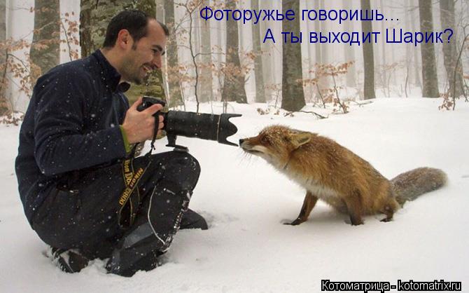 Фоторужье говоришь... А ты выходит Шарик?... Котоматрица: Фоторужье говоришь... А ты выходит Шарик?