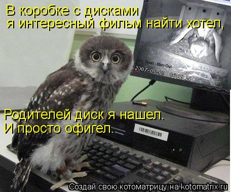 В коробке с дисками Родителей диск я нашел. И просто офигел. я интересный фильм найти хотел,... Котоматрица: В коробке с дисками Родителей диск я нашел. И просто офигел. я интересный фильм найти хотел,