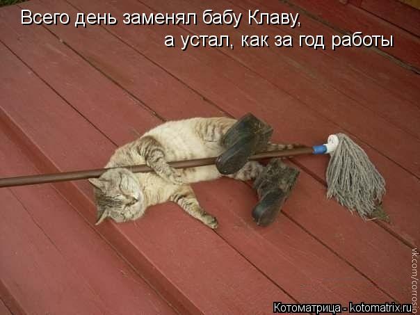 Всего день заменял бабу Клаву, а устал, как за год работы... Котоматрица: Всего день заменял бабу Клаву, а устал, как за год работы