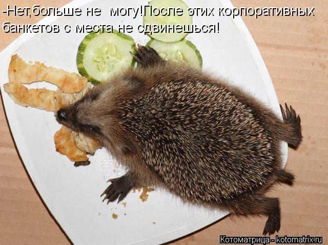 -Нет,больше не могу!После этих корпоративных банкетов с места не сдвинешься!... Котоматрица: -Нет,больше не могу!После этих корпоративных банкетов с места не сдвинешься!