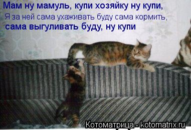 Мам ну мамуль, купи хозяйку ну купи, Я за ней сама ухаживать буду сама кормить, сама выгуливать бу... Котоматрица: Мам ну мамуль, купи хозяйку ну купи, Я за ней сама ухаживать буду сама кормить, сама выгуливать буду, ну купи