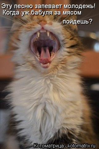 Эту песню запевает молодежь! Когда уж,бабуля за мясом пойдешь?... Котоматрица: Эту песню запевает молодежь! Когда уж,бабуля за мясом пойдешь?