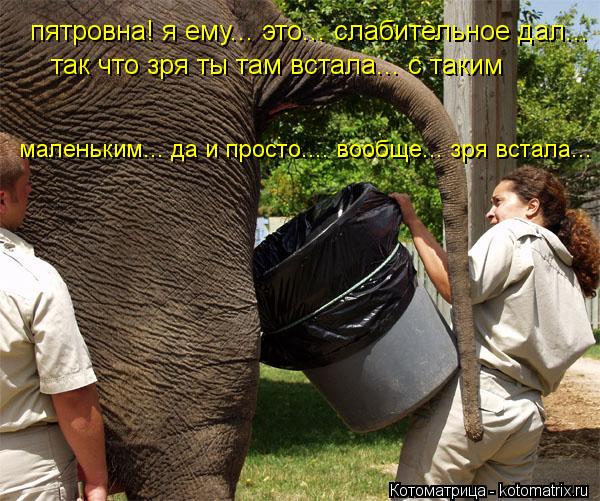 пятровна! я ему... это... слабительное дал... так что зря ты там встала... с таким маленьким... да и... Котоматрица: пятровна! я ему... это... слабительное дал... так что зря ты там встала... с таким маленьким... да и просто.... вообще... зря встала...