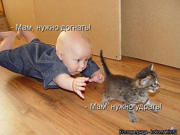 - Мам, нужно догнать! - Мам, нужно удрать!... Котоматрица: - Мам, нужно догнать! - Мам, нужно удрать!