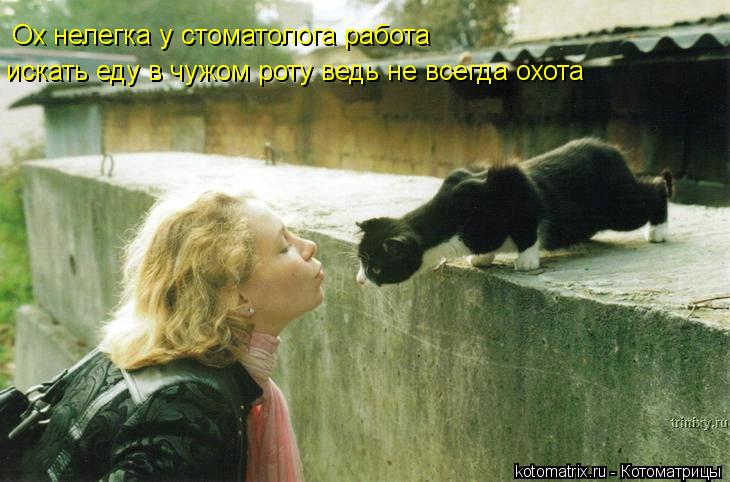 Ох нелегка у стоматолога работа искать еду в чужом роту ведь не всегда охота... Котоматрица: Ох нелегка у стоматолога работа искать еду в чужом роту ведь не всегда охота