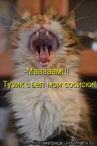 -Мааааам!!! Тузик съел мои сосиски!... Котоматрица: -Мааааам!!! Тузик съел мои сосиски!