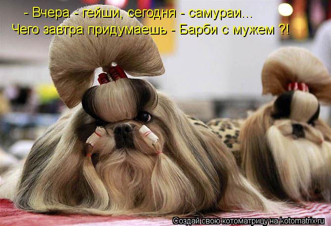 - Вчера - гейши, сегодня - самураи... Чего завтра придумаешь - Барби с мужем ?!... Котоматрица: - Вчера - гейши, сегодня - самураи... Чего завтра придумаешь - Барби с мужем ?!