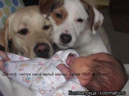 -Дорогой, смотри какой милый малыш, купим себе такого же!?... Котоматрица: -Дорогой, смотри какой милый малыш, купим себе такого же!?