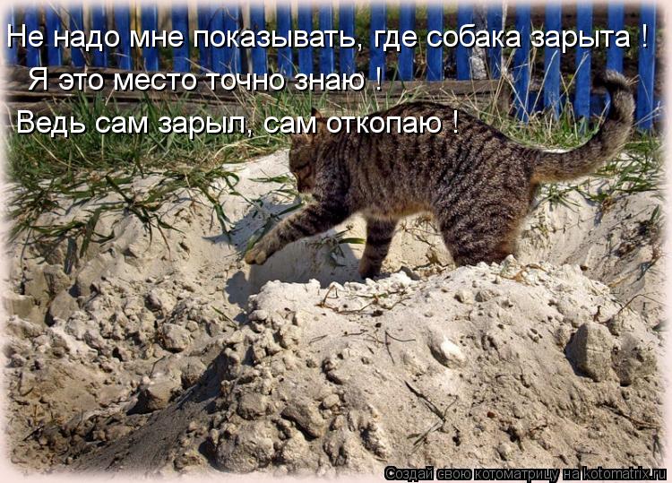 Не надо мне показывать, где собака зарыта ! Я это место точно знаю ! Ведь сам зарыл, сам откопаю !... Котоматрица: Не надо мне показывать, где собака зарыта ! Я это место точно знаю ! Ведь сам зарыл, сам откопаю !