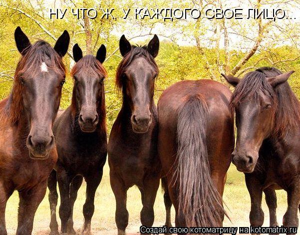 НУ ЧТО Ж, У КАЖДОГО СВОЕ ЛИЦО...... Котоматрица: НУ ЧТО Ж, У КАЖДОГО СВОЕ ЛИЦО...