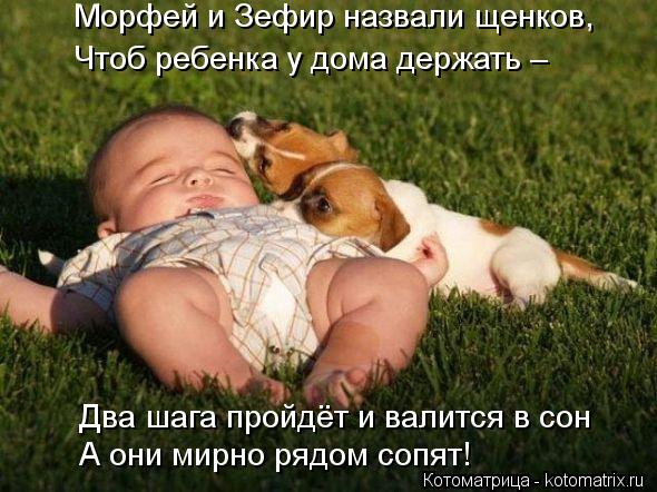 Морфей и Зефир назвали щенков, А они мирно рядом сопят! Чтоб ребенка у дома держать – Два шага пройдё... Котоматрица: Морфей и Зефир назвали щенков, А они мирно рядом сопят! Чтоб ребенка у дома держать – Два шага пройдёт и валится в сон