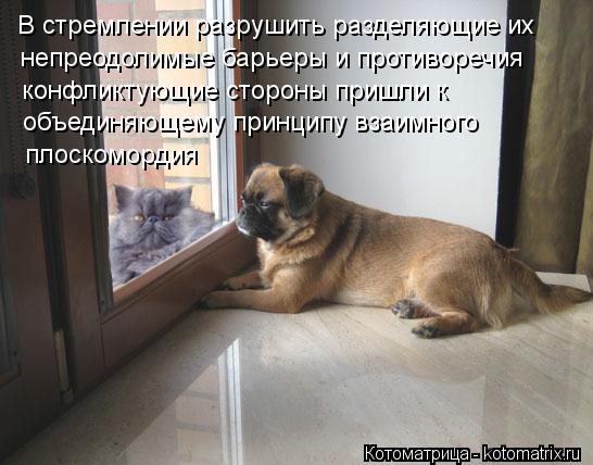 В стремлении разрушить разделяющие их непреодолимые барьеры и противоречия конфликтующие стороны приш... Котоматрица: В стремлении разрушить разделяющие их непреодолимые барьеры и противоречия конфликтующие стороны пришли к объединяющему принципу взаимн