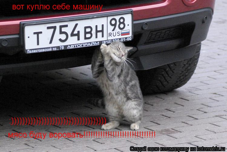 вот куплю себе машину мясо буду воровать!!!!!!!!!!!!!!!!!!!!!!!!!!!!!! :))))))))))))))))))))))))))))... Котоматрица: вот куплю себе машину мясо буду воровать!!!!!!!!!!!!!!!!!!!!!!!!!!!!!! :)))))))))))))))))))))))))))))))))))