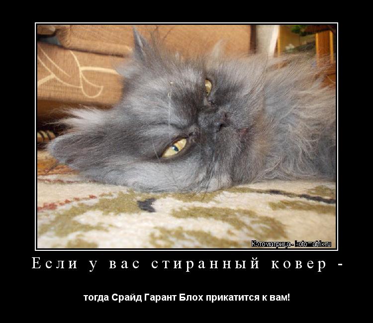 Если у вас стиранный ковер - тогда Срайд Гарант Блох прикатится к вам!... Котоматрица: Если у вас стиранный ковер - тогда Срайд Гарант Блох прикатится к вам!