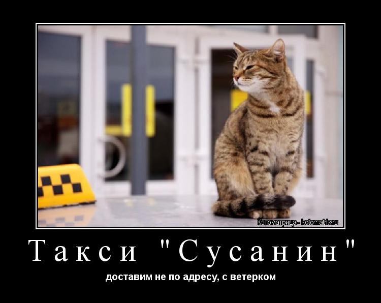 Такси "Сусанин" доставим не по адресу, с ветерком... Котоматрица: Такси "Сусанин" доставим не по адресу, с ветерком