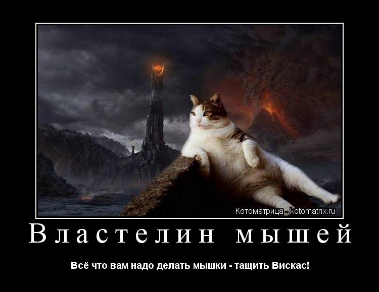 Властелин мышей Всё что вам надо делать мышки - тащить Вискас!... Котоматрица: Властелин мышей Всё что вам надо делать мышки - тащить Вискас!