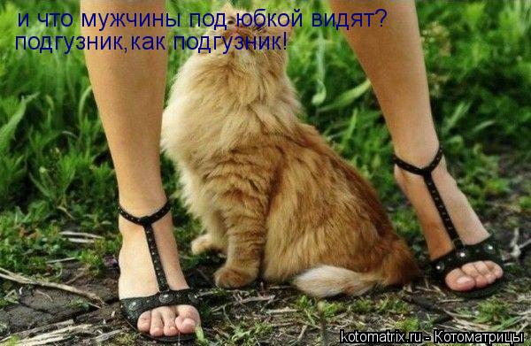 и что мужчины под юбкой видят? подгузник,как подгузник!... Котоматрица: и что мужчины под юбкой видят? подгузник,как подгузник!