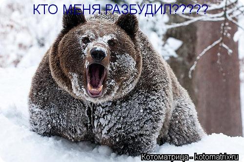 КТО МЕНЯ РАЗБУДИЛ?????... Котоматрица: КТО МЕНЯ РАЗБУДИЛ?????