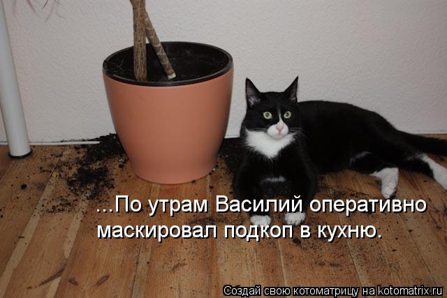 ...По утрам Василий оперативно маскировал подкоп в кухню.... Котоматрица: ...По утрам Василий оперативно маскировал подкоп в кухню.