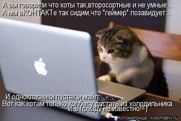 А вы говарили что коты так,второсортные и не умные... А мы вКОНТАКТе так сидим,что "геймер" позавидуе... Котоматрица: А вы говарили что коты так,второсортные и не умные... А мы вКОНТАКТе так сидим,что "геймер" позавидует... И однокласники пустяк,и майл... И в пра