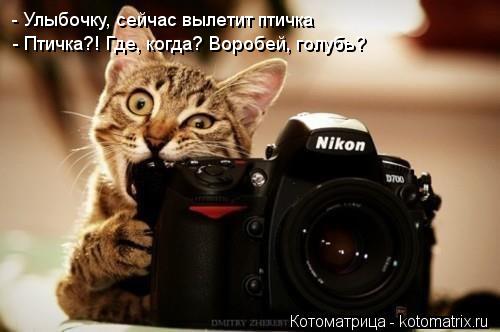 - Улыбочку, сейчас вылетит птичка - Птичка?! Где, когда? Воробей, голубь?... Котоматрица: - Улыбочку, сейчас вылетит птичка - Птичка?! Где, когда? Воробей, голубь?