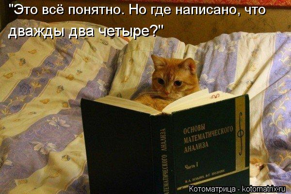 "Это всё понятно. Но где написано, что дважды два четыре?"... Котоматрица: "Это всё понятно. Но где написано, что дважды два четыре?"