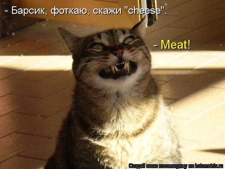 - Барсик, фоткаю, скажи "cheese". - Мeat!... Котоматрица: - Барсик, фоткаю, скажи "cheese". - Мeat!