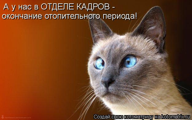 А у нас в ОТДЕЛЕ КАДРОВ - окончание отопительного периода!... Котоматрица: А у нас в ОТДЕЛЕ КАДРОВ - окончание отопительного периода!