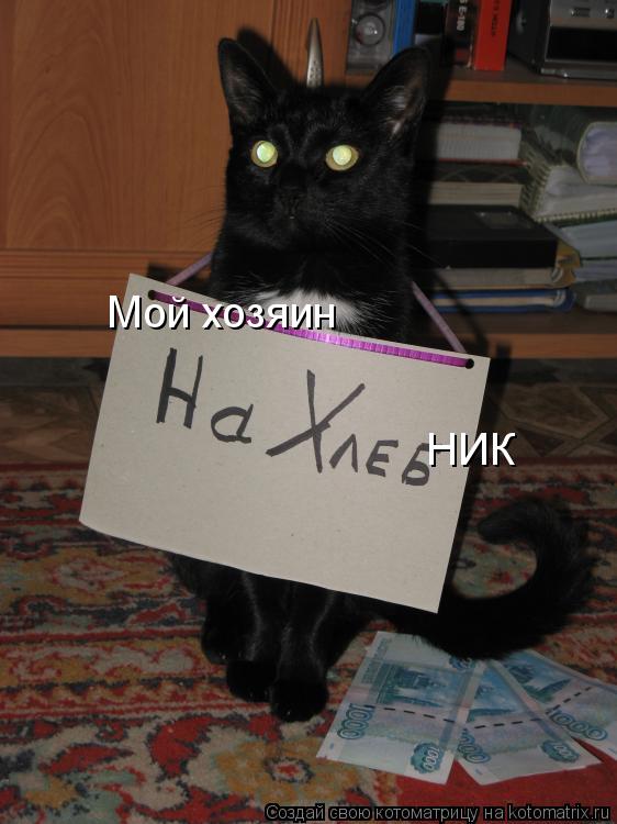 Мой хозяин НИК... Котоматрица: Мой хозяин НИК