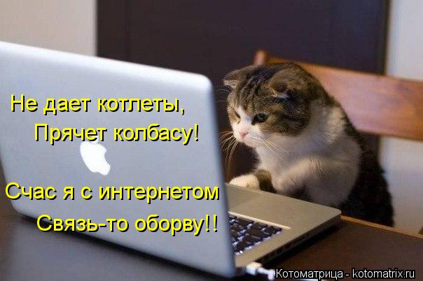 Не дает котлеты, Прячет колбасу! Счас я с интернетом Связь-то оборву!!... Котоматрица: Не дает котлеты, Прячет колбасу! Счас я с интернетом Связь-то оборву!!