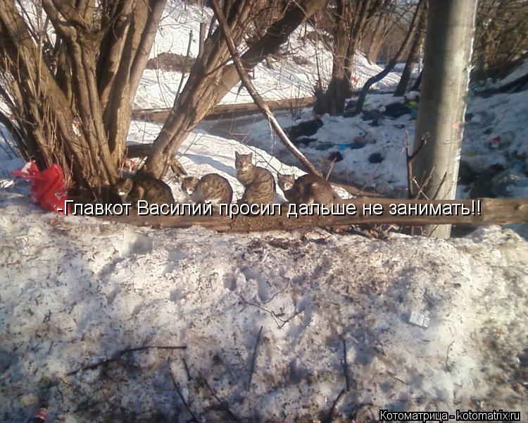 -Главкот Василий просил дальше не занимать!!... Котоматрица: -Главкот Василий просил дальше не занимать!!