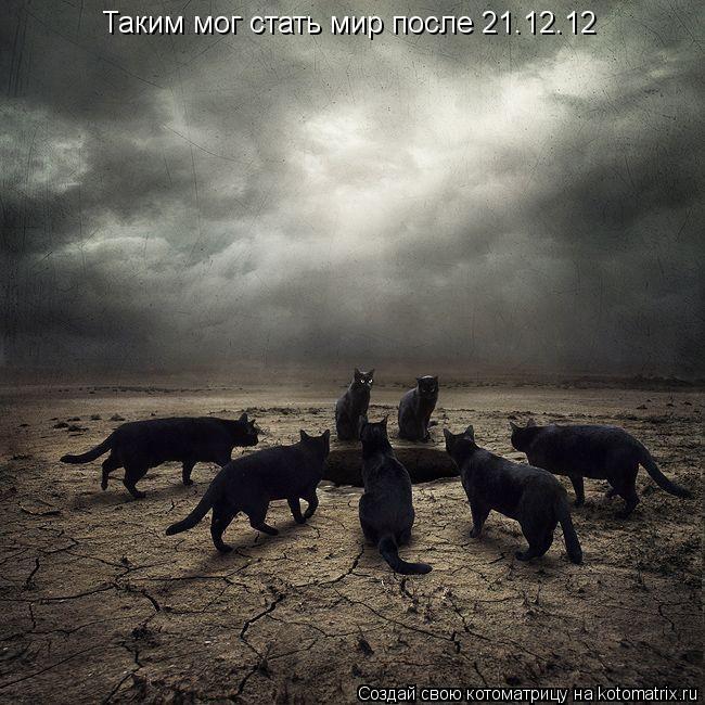 Таким мог стать мир после 21.12.12... Котоматрица: Таким мог стать мир после 21.12.12